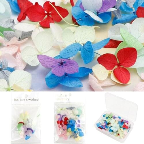 New Package Dried Flowers Nail Art Decoration DIY Natural Manicure Stickers Hydrangea Leaf 3D Decor Nail Tips DIYFilling Jewelry