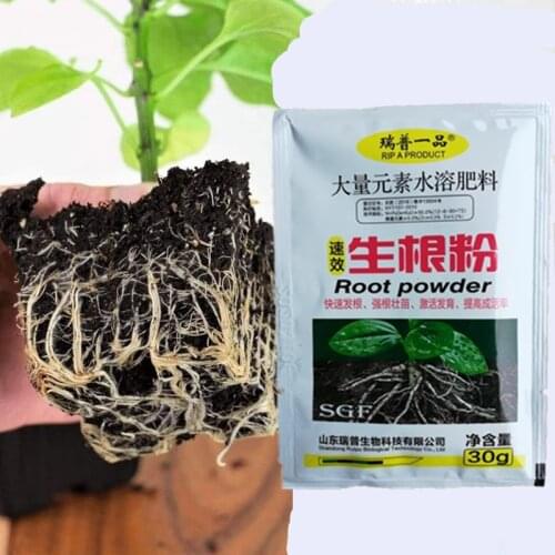 1pcs Flower Strong rooting powder growing roots seedling strong recovery root vigor germination aid fertilizer Garden medicine