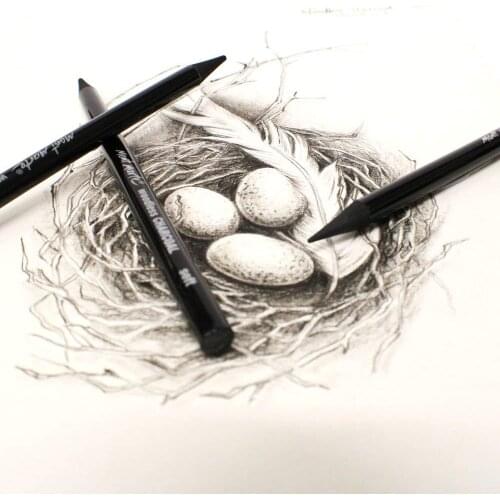 Artist Woodless Charcoal Pencils 3 Piece Grades Professional Manga Sketch Drawing Charcoal Including Soft Medium & Hard ( Black)