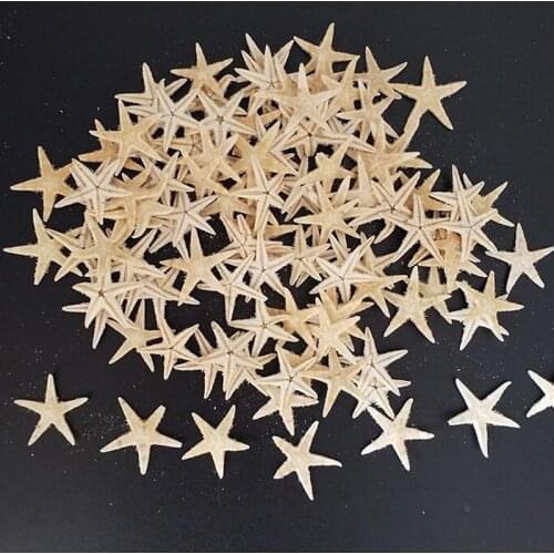 100pcs Sea shells size:0.5-3cm Mini Starfish Craft Decoration Natural Sea Stars DIY Beach Cottage Wedding Decor crafts wedding