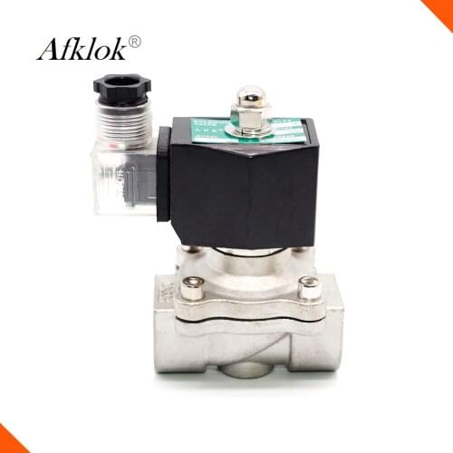 1/2inch NPT Solenoid Valve Water 12v 220v 2Way Electric Water Valve DN15 Normally Closed Stainless Steel NBR Seal