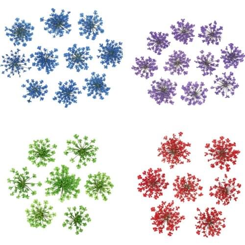 30pcs/Set Pressed Dried Flower Dry Plants Pendant Necklace Jewelry Making Craft DIY Accessories Artificial Flower Decoration