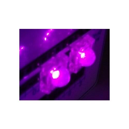 1000PCS x 5mm Square UV LED Piranha Purple Water Clear Round Super Flux LED Light Emitting Diode Lamp Transparent Bulb
