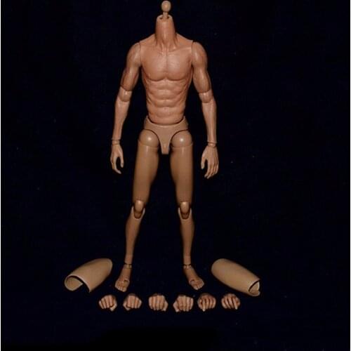ZC Toys S005 1/6 Narrow Shoulder Male Body Muscular Figure Fit for 12" Male Head Sculpt