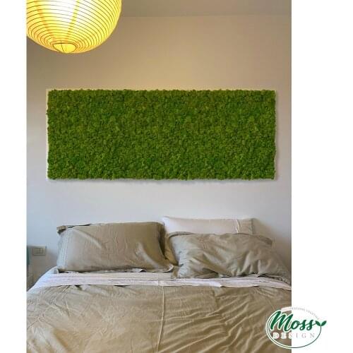 Demeter, plant with Moss plate framework and natural plants default, Moss Frame, zero maintenance, ForestMoss