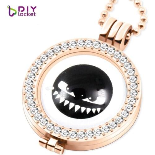 My coin necklace 33mm coins fit 35mm coin holder with 80cm bead chain 13 styles can choose MICP134-146