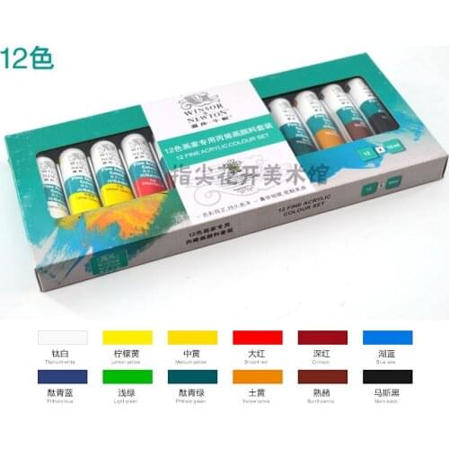 Winsor Newton Fine Acrylic Color Paint Set Artist Professional 12 Colors Paints
