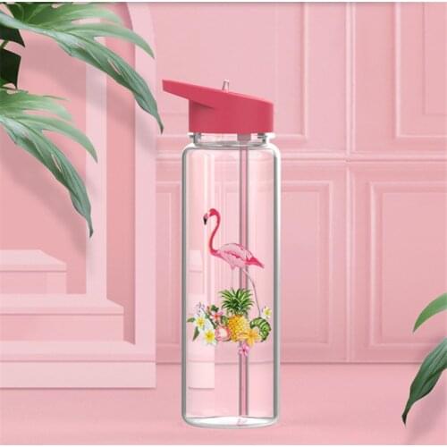 Bpa-Free 750ml 100%Tritan Sports Outdoor Straw Water Bottle With Flamingos&Elk Printing My Drink Juice Handle The Unicorn Kettle