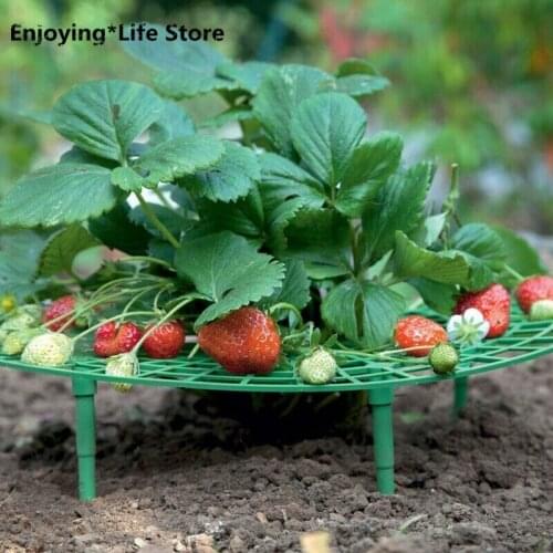 2PC Lightweight Strawberry Plant Growing Supports Keep Strawberries Off in the Rainy Day Removable gardening tools and equipment