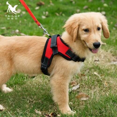 Pet summer explosion-proof mesh, dog saddle, chest belt, cool, breathable dog vest, pet accessories dog harness