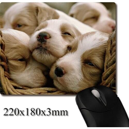 Adorable puppies in the basket printed Heavy weaving anti-slip rubber pad office mouse pad Coaster Party favor gifts 220x180x3mm