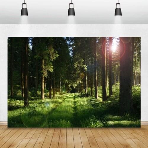 Laeacco Nature Scenery Fairy Forest Wonderland Sunshine Grass Trees Baby Portrait Photography Backdrops Photo Backgrounds Props