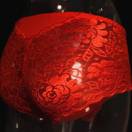 Sexy Sissy Lace U Convex Pouch Sheath Briefs Sheer See Through Cock Man Underwear Plus Size Lingerie Panties Thong