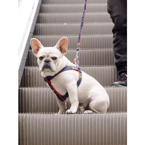 Pet chest-back traction rope dog leaning method fighting dog walking rope chain small and medium-sized dog golden retriever tedd