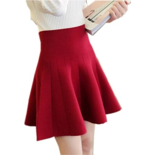 New Fashion Autumn Winter Women Skirt Female Sexy Short Knitted Skirt Slim All Match A-Line Skirt Skirts Women S391