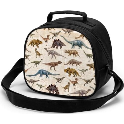 Dinosaur Functional Pattern Cooler childrens meal bag Dinosaur Portable Thermal Food Picnic children Lunch Bags For Women