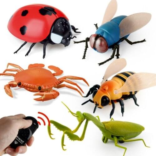 RC Insect Strange Simulation Infrared Remote Control Whole Toy Crab Mantis Ladybug Bee Housefly for Child Boy Toy Dropshipping