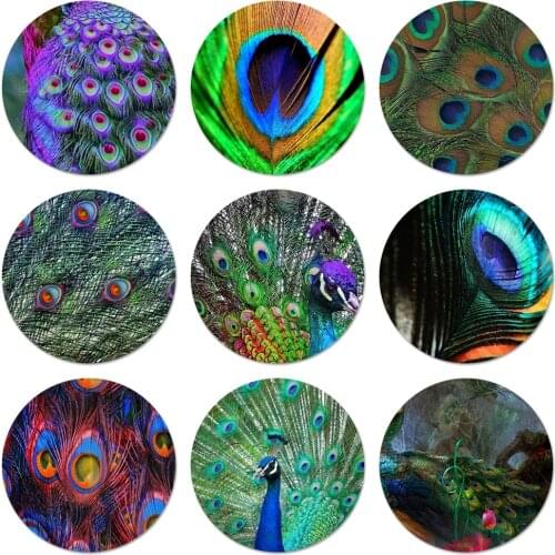 58mm Beautiful Peacock feathers Icons Pins Badge Decoration Brooches Metal Badges For Backpack Decoration