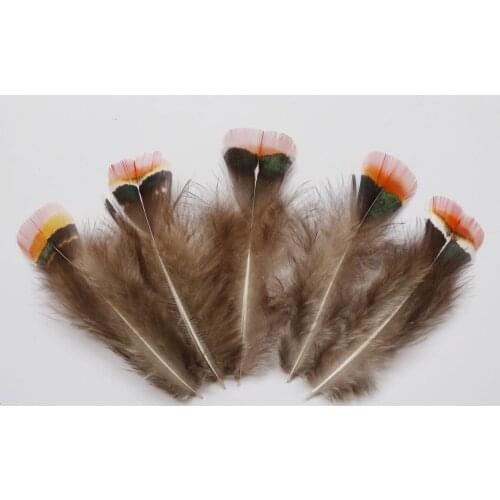 10/ 20/ 50 / 100 pcs 4-9cm Natural Pheasant chicken feathers Clothing jewelry Headwear Christmas Holiday Decoration