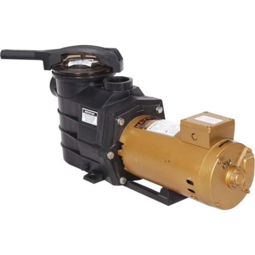 Outdoor garden swimming pool sand filter electric water pump