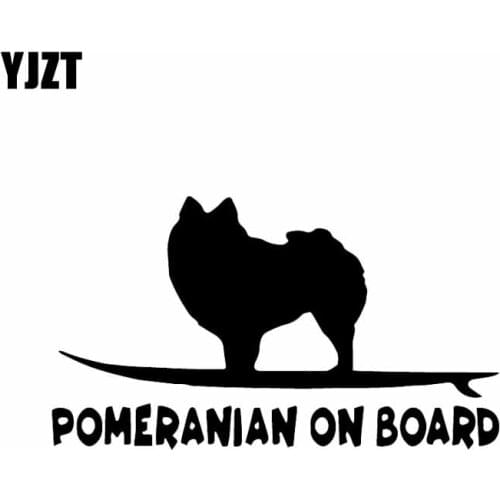 YJZT 15.8X9CM Pomeranian On Board Funny Dog Decal Vinyl Car Sticker Window Decoration Black/Silver C24-1629