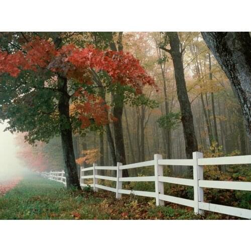 Fence autumn tree leaves backdrop High quality Computer print scenic photo studio background