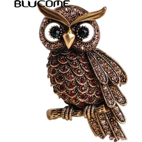 Blucome Vintage Owl Brooch Corsage Scarf Clip Crystal Parrots Brooches Lapel Pin Broches Jewelry Women Lady Sweater Hats Buckles