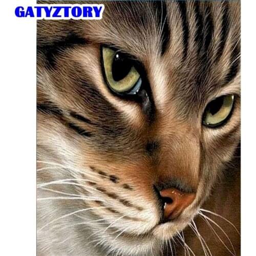 GATYZTORY Paint By Numbers Kits For Adults Handpainted Cat Animal Picture Acrylic Draw On Canvas Unique Diy Gift Home Decor Phot