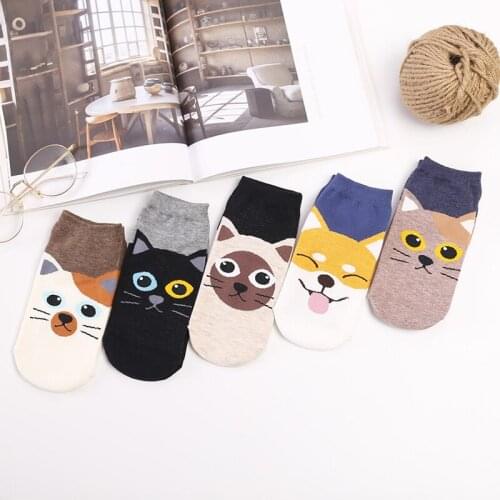 Female straight boat socks cartoon cat and dog pattern personality fashion comfortable socks cotton student casual cute socks
