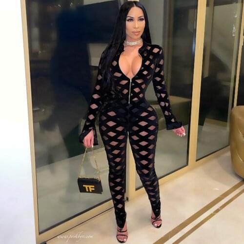 Sheer Mesh Flocking Plaid Spliced Womens Romper Zipper Front Split Full Sleeve Skinny Jumpsuit Fashion One Piece Club Outfits