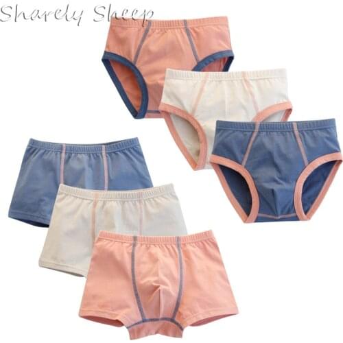 Kids Boy Cotton Dinosaur Boxer Panties Underwear Toddler Little Boys 100%Cotton Cartoon Printing Briefs Sports Clothes(2-10Y)