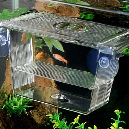 Transparent ABS Isolation Fish Breeding Box With Suction Cups Aquarium Tank Pet Supplies Clownfish Shrimp Hatchery Mini House