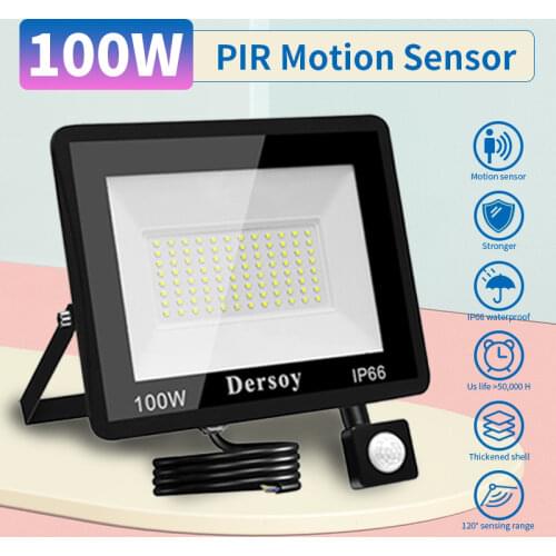 LED Floodlights Dersoy China