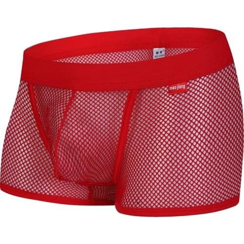 Gay Underwear Men Transparent Mesh Mens Boxer Shorts Underwear Penis Pouch Men Sissy Panties Male Underpants Male Lingerie