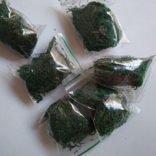 20bags lot glass vials findings STUFFING / filler Natural dried moss DIY Material Glass Cover Fill Moss DFM001