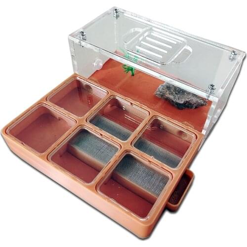 3D Concrete Flat Ant Farm Ecological Ant Nest with Drinker Pet Anthill Workshop Moisturizing Ant House with Hunting Area Insect