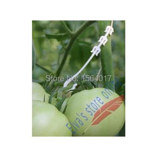 100pcs plastic peduncle hang hooks plant fastener plant vines Tomato melon cucumber Flower Vegetable Farming hang hook Clip