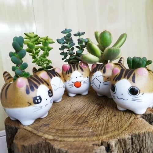 Balcony Decor GiftCute Mini Cat Ceramic Flower Pot Small Cartoon Planter Succulent Plants Bonsai Cactus Pot Home Garden Desktop