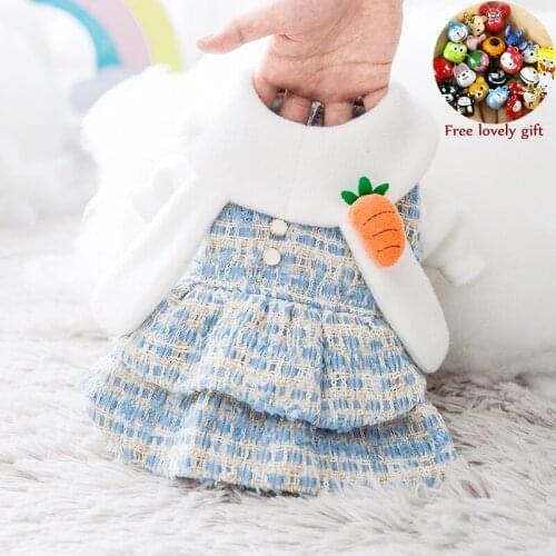 Dog Cat Clothes for Small Medium Dogs Cats Dress Sweety Princess Skirt Autumn Winter Puppy Dog Warm Costume Chihuahua Ropa Perro