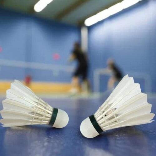 12Pcs/Barrel G-5 Standard Badminton High Strength Windproof Replacement Shuttlecocks Outdoor/Indoor Sports Training Ball