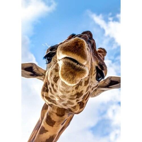 Sale Full Square Cute Giraffe Diamond Painting Cross Stitch Kit Diamond Mosaic Embroidery Picture Rhinestone Decoration FC645