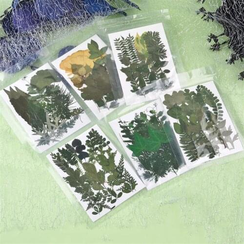 1 Pack Dried Flowers Leaves Green Plants Resin Filling DIY UV Crystal Epoxy Resin Crafts Decoration Silicone Mold Accessories