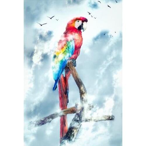 Colorful Parrot Modern Pictures Art Film Print Silk Poster Home Wall Decor 24x36inch