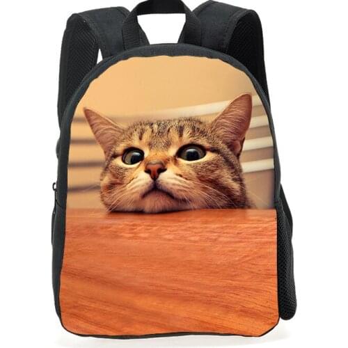 Школьные рюкзаки для мальчиков CAIWEI China At AliExpress