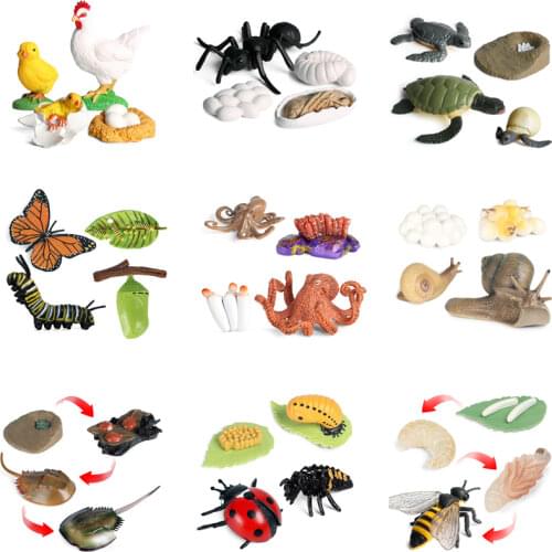 Simulation Insect Growth Cycle Animal Model Butterfly Bee Ladybug Action Figurine Miniature Educational Toys for Kids Classroom