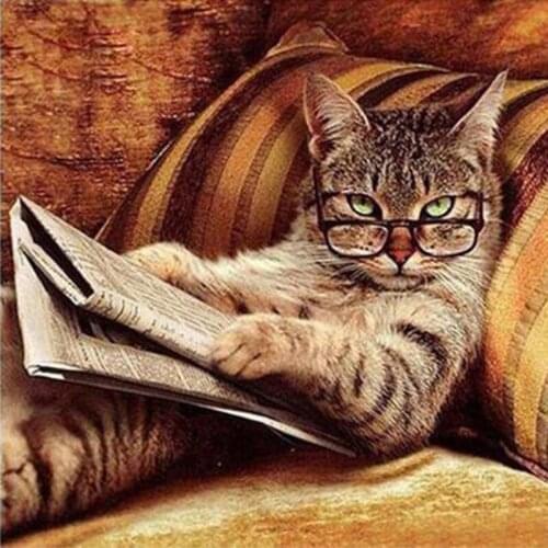 5D Diy Diamond Art Painting Cat Full Round Diamond Embroidery Picture Rhinestone Diamond Mosaic Cartoon Home Decor