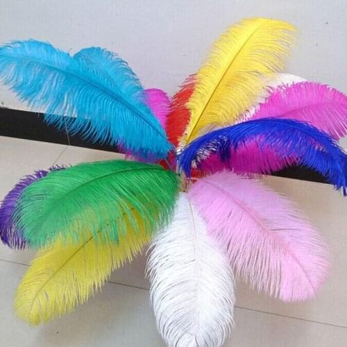 100 pieces of natural ostrich feathers in various colors, 45-50cm /18-20in long, for wedding performance celebration decoration