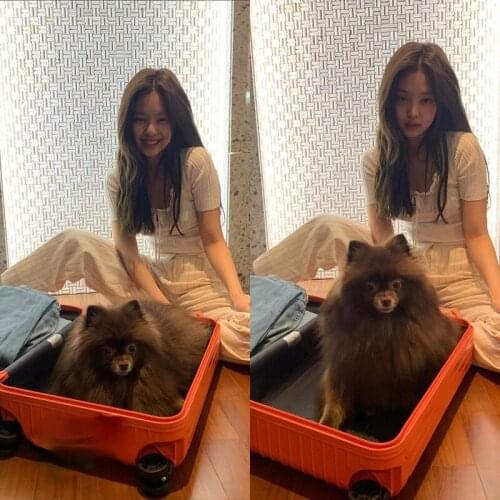 Kpop Korean White Sexy Short Sleeve Knitted Shirts Crop Top Women Summer New Streetwear Sweet Girls Slim Lace-Up Elastic Blouses