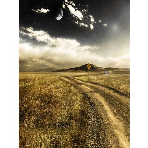 Vast meadows photo backgrounds vinyl natural scenic wedding photography backdrops for photo studio video taking props S-1811