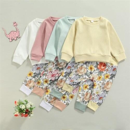 Baby Girls Spring Fall Two-piece Clothes Set, Solid Color Pullover Sweatshirt Tops and Floral Pattern Trousers, 0-24Months